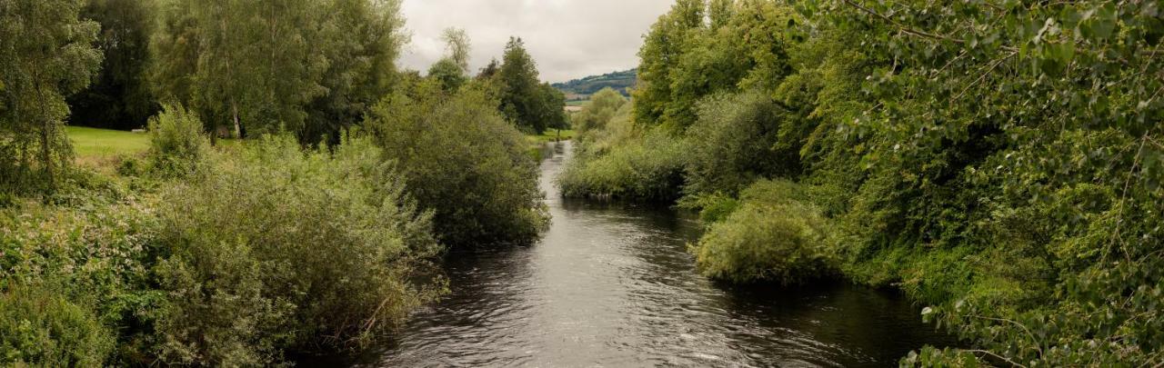 Woodford Dolmen Hotel Carlow Bagian luar foto