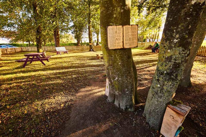 Woodford Dolmen Hotel Carlow Bagian luar foto